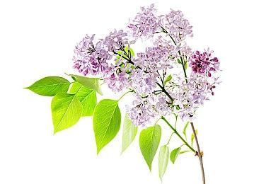 《异星工厂》新DLC太空时代发售 好评如潮大家爱玩